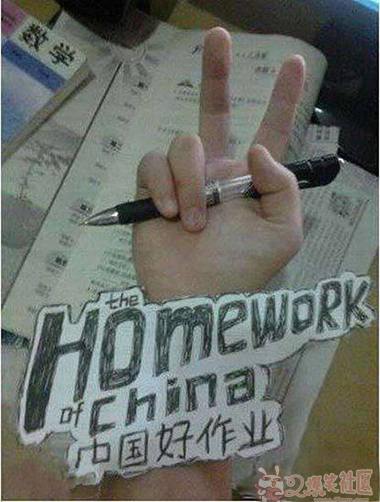 the homework of china